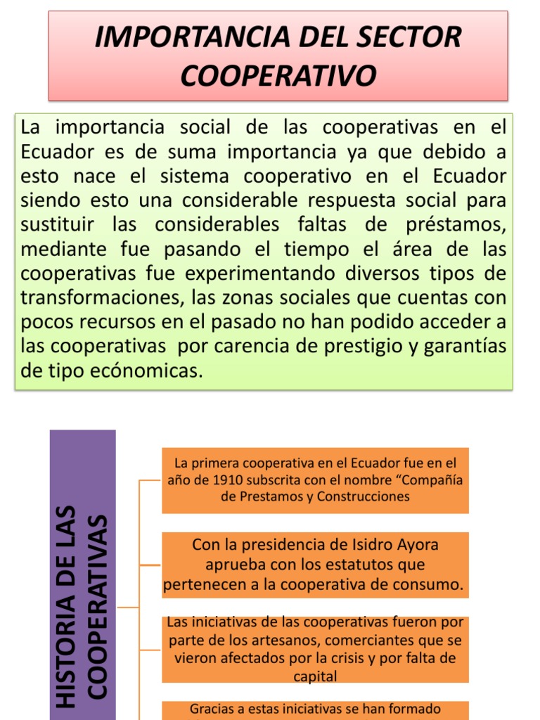 Importancia Del Sector Cooperativo | PDF | Cooperativa | Ecuador