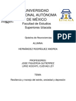 Ensayo Neurociencias