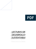 LECTURAS DESARROLLO.docx