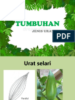 TUMBUHAN