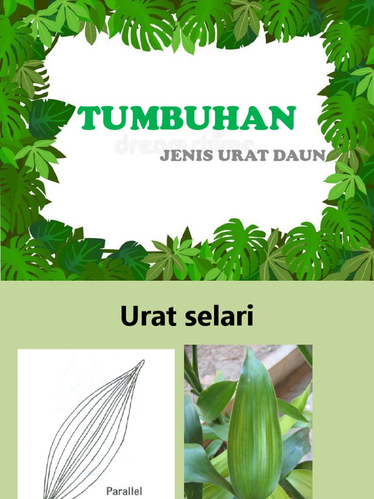 Tumbuhan Pdf