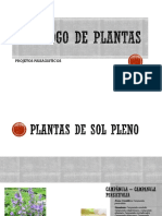 Catálogo de Plantas - Paisagismo 1