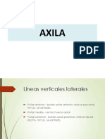 Clase 4 Axila PDF