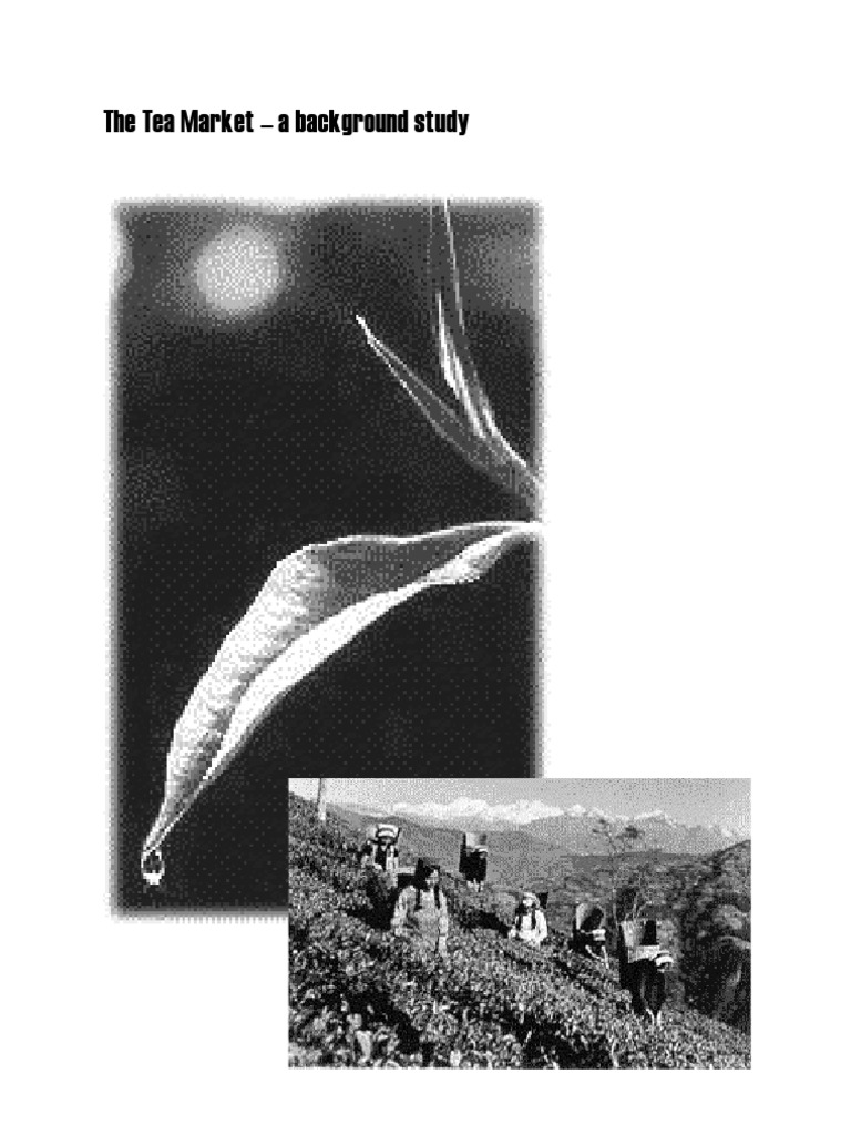 An InDepth Analysis of Economic, Political, and Social Factors