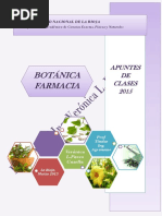 Apuntes Botanica 2015 Parte i c