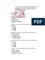 D.hemoglobin Electrophoresis