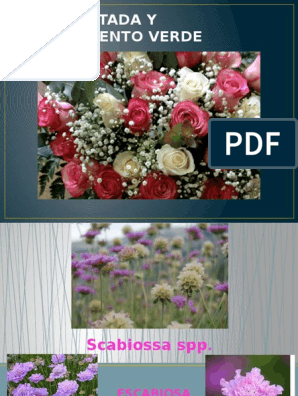 Flor Cortada Y Complemento Verde Pptx Planta De Interior Flores