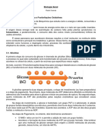 Resumo Bioenergética