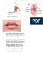 tarea de lengaje.docx