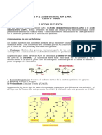 Guía 2 ADN y ARN (4° medio).doc