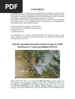 Concepto Incendio Forestal