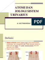 1. Anatomi Fisiologi Sistem Urinarius