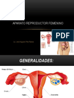 Aparato Reproductor Femenino Clase II
