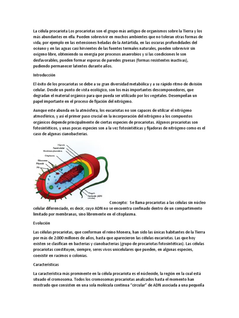 Características y funciones de procariotas | PDF | Biología Celular ...