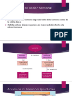 Mecanismos de Acción Hormonal