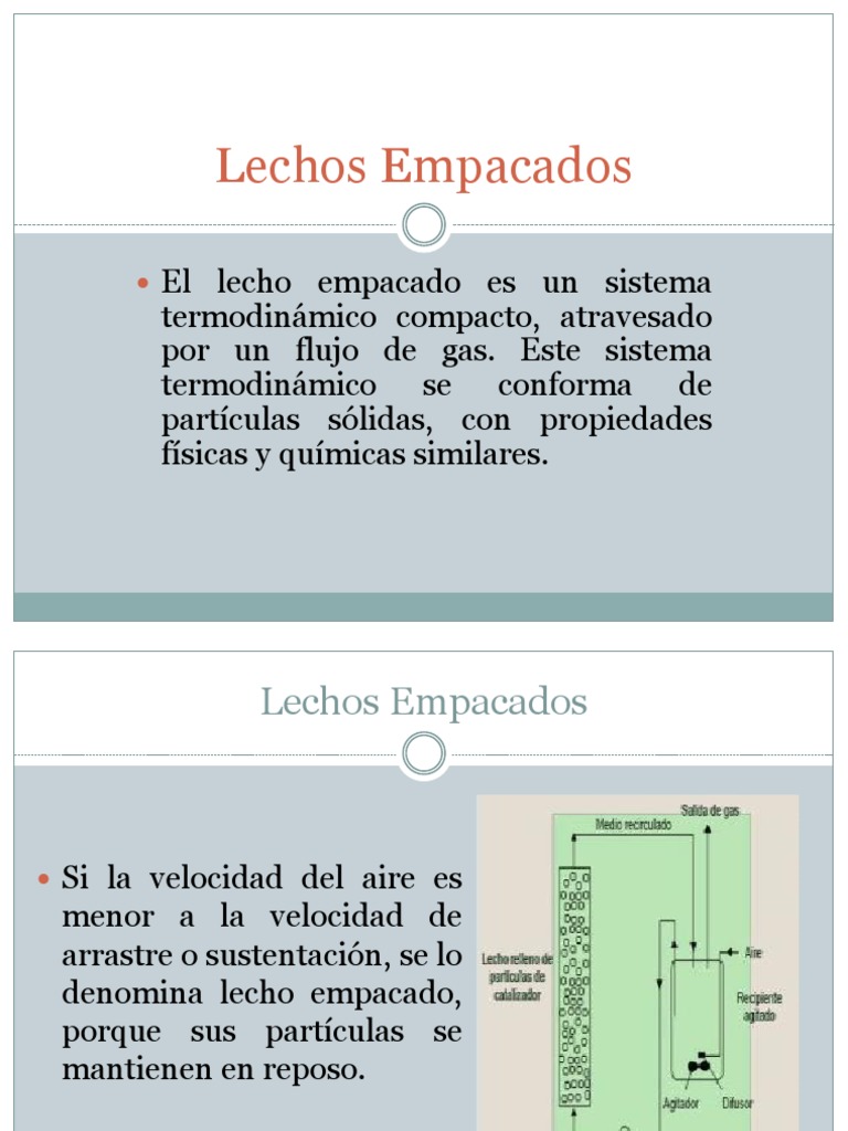 Tipos y Definición de Lechos Empacados | PDF
