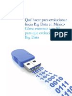 Que Hacer para Big Data en Mexico