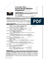 Curriculum Vitae Andre Braga