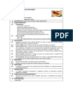 Ficha técnica cacao grano exportación