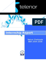 Internship Report: Nelum Shehzade BBA 2004-2008