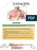 AUSCULTACIÓN