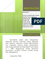Brucellosis PPT