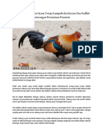Tips Dalam Merawat Ayam Toraja Lumpuh Dan Keram Dan Sedikit Keterangan Permainan Paramisi PDF