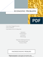 Macroeconomic Problems