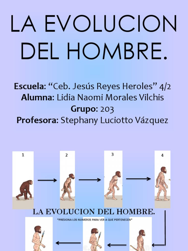 Etapas de la Evolución del Hombre | PDF | Homo | Evolución humana