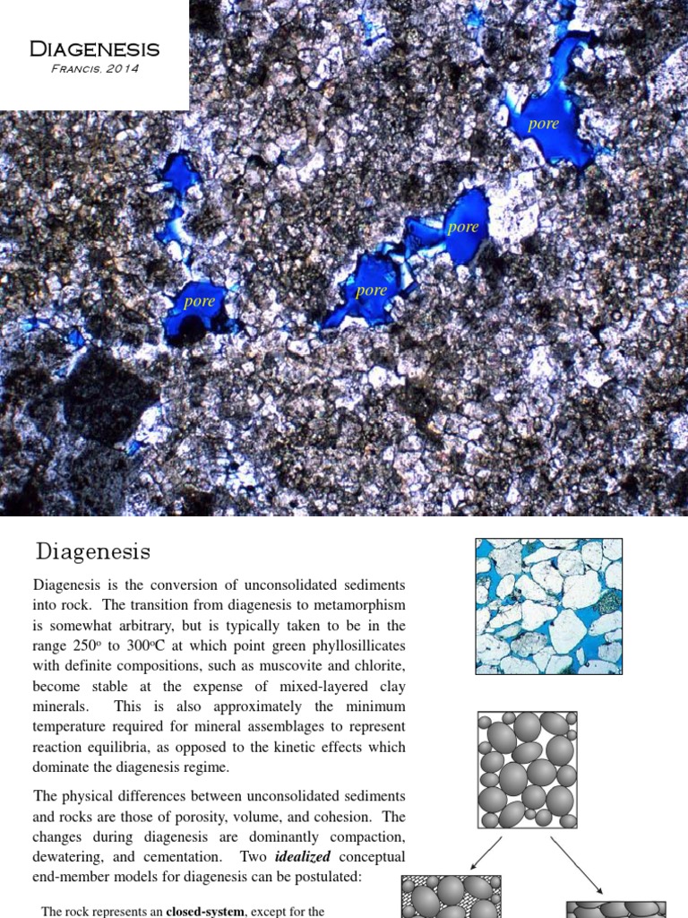 Dia Genesis 14 | PDF | Sedimentary Rock | Porosity
