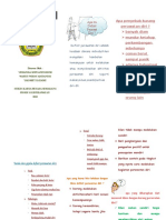 Leaflet DPD