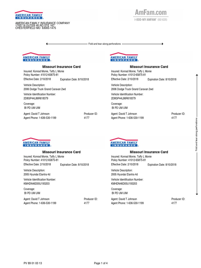 proof-of-insurance-cards-pdf-pdf-automobiles-insurance