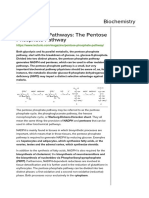 Enzymes – Biocatalysts of Metabolism 32