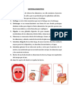 Sistema Digestivo..... Partes