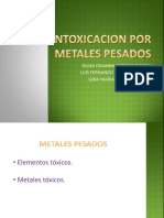 Intoxicacion Por Metales Pesados