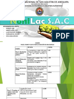 Cuadro de Resumen NONILAC S.a.C