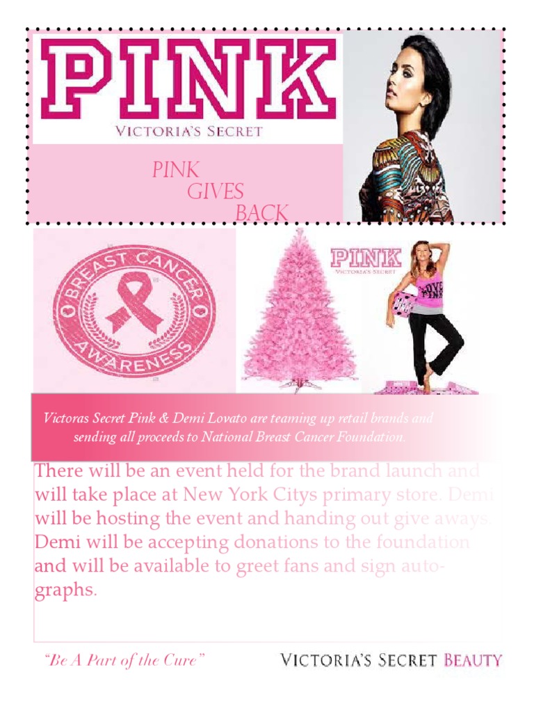 Pink & Demi Lovato Charity Event | PDF