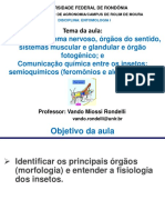 Fisiologia e comunicação de insetos