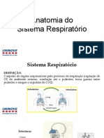 AULA 5 Anatomia Do Sistema Respiratório