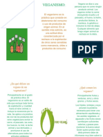 Triptico veganismo.docx