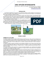 157-forrajeras_megatermicas.pdf