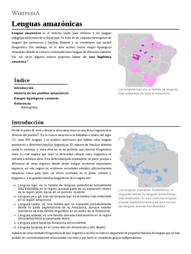 Lenguas Amazónicas | PDF | Selva amazónica | Verbo