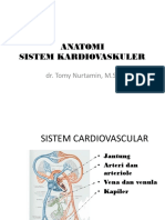 Anatomi Kardiovaskuler 2014