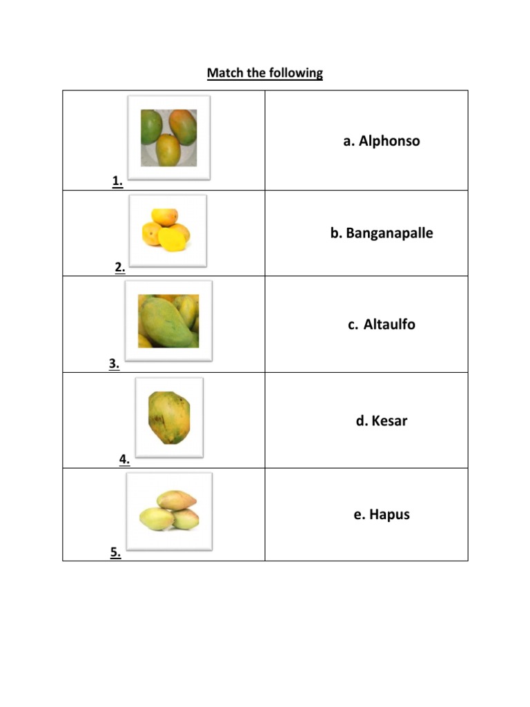 Mango Quiz | PDF