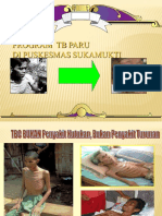 Materi TB Paru Dan PMO