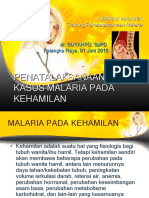 Malaria Kehamilan