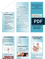 LEAFLET VULVOVAGINITIS.docx