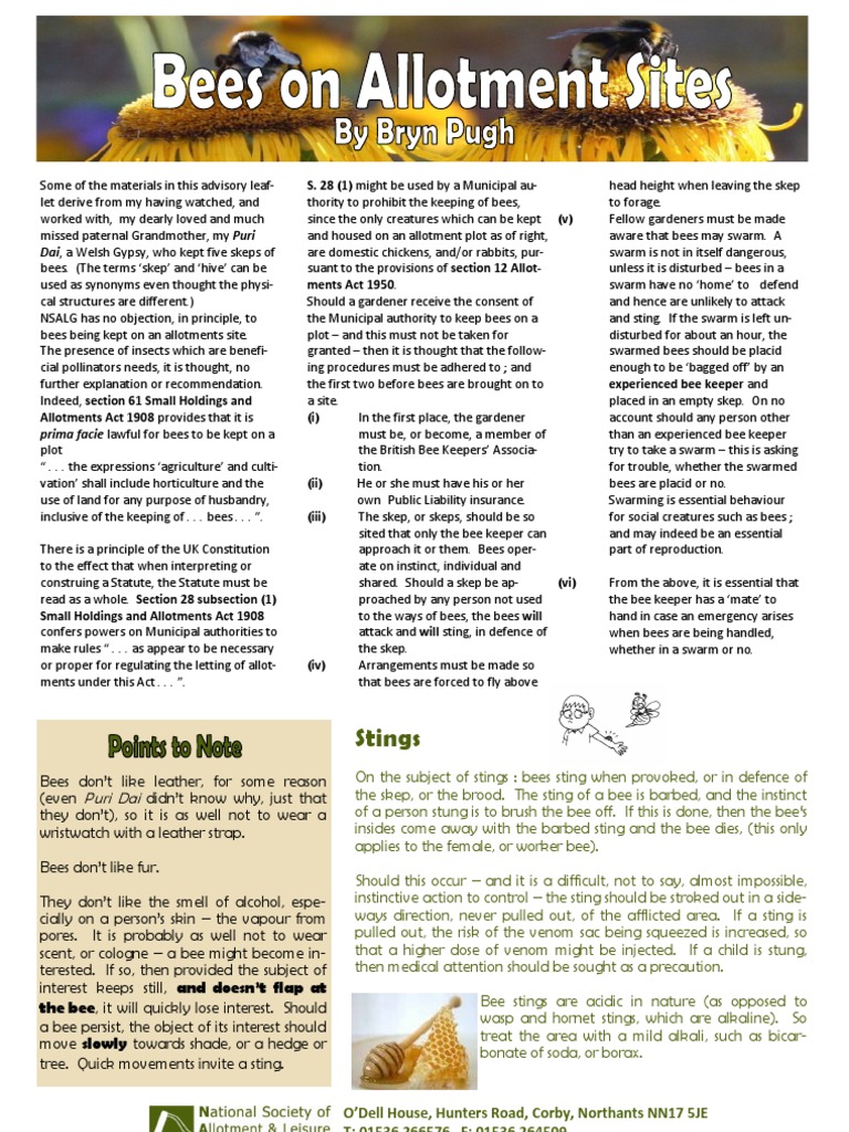 Bees | PDF | Bees | Beehive