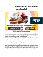 Jenis Ayam Sabung Terbaik Selain Ayam Laga Bangkok