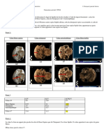 Correction Activitc3a9 3 Tp10 SVT